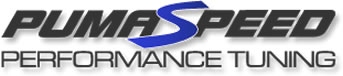 Pumaspeed Logo