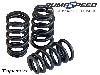 AREA-6 UPRATED ECOBOOST VALVE SPRING SET 16
