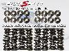 Piper Cams Duratec Double Valve Spring Set