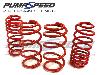 Pumaspeed Stance Lowering Springs Fiesta Mk7