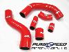 *FF23* Fiesta Mk7 1.0l Pumaspeed Racing Front Brake Discs