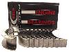 King Main Bearings 2.0 and 2.3 EcoBoost plus Duratec