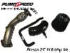 Ford Fiesta ST150 160 bhp Power Upgrade Kit by Pumaspeed Performance