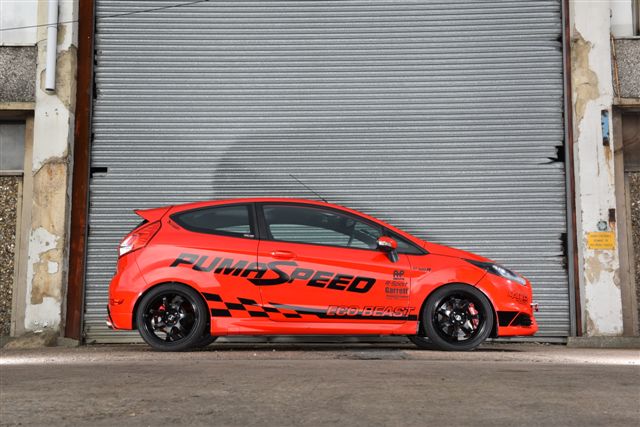 Pumaspeed 300R Fiesta ST