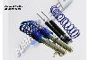 Focus_RS_mk1_coilovers