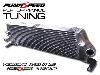  Pumaspeed ST 225 Focus RoadSport Intercooler 
