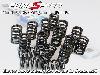 Piper Cams Duratec Single Valve Spring Set