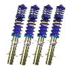 AP Coilover Kit.