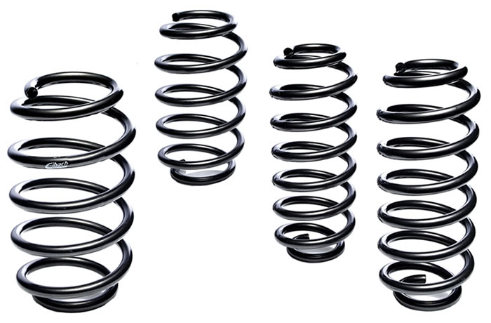 Eibach E10-40-011-01-22 Performance Pro-Kit Springs