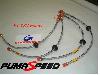 Goodridge Hose Kit Focus ST 170