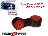 Focus ST 170 & Zetec Engine Stabilizer