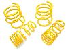 KW lowering Springs Focus RS Mk2 2009
