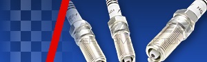 Ignition_parts_pumaspeed.gif Image