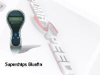 Superchips bluefin for the ST Focus